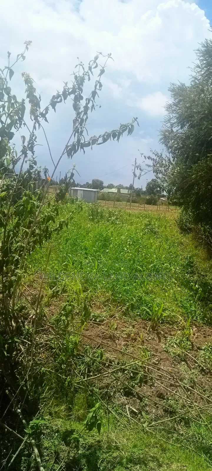Plot for Sale