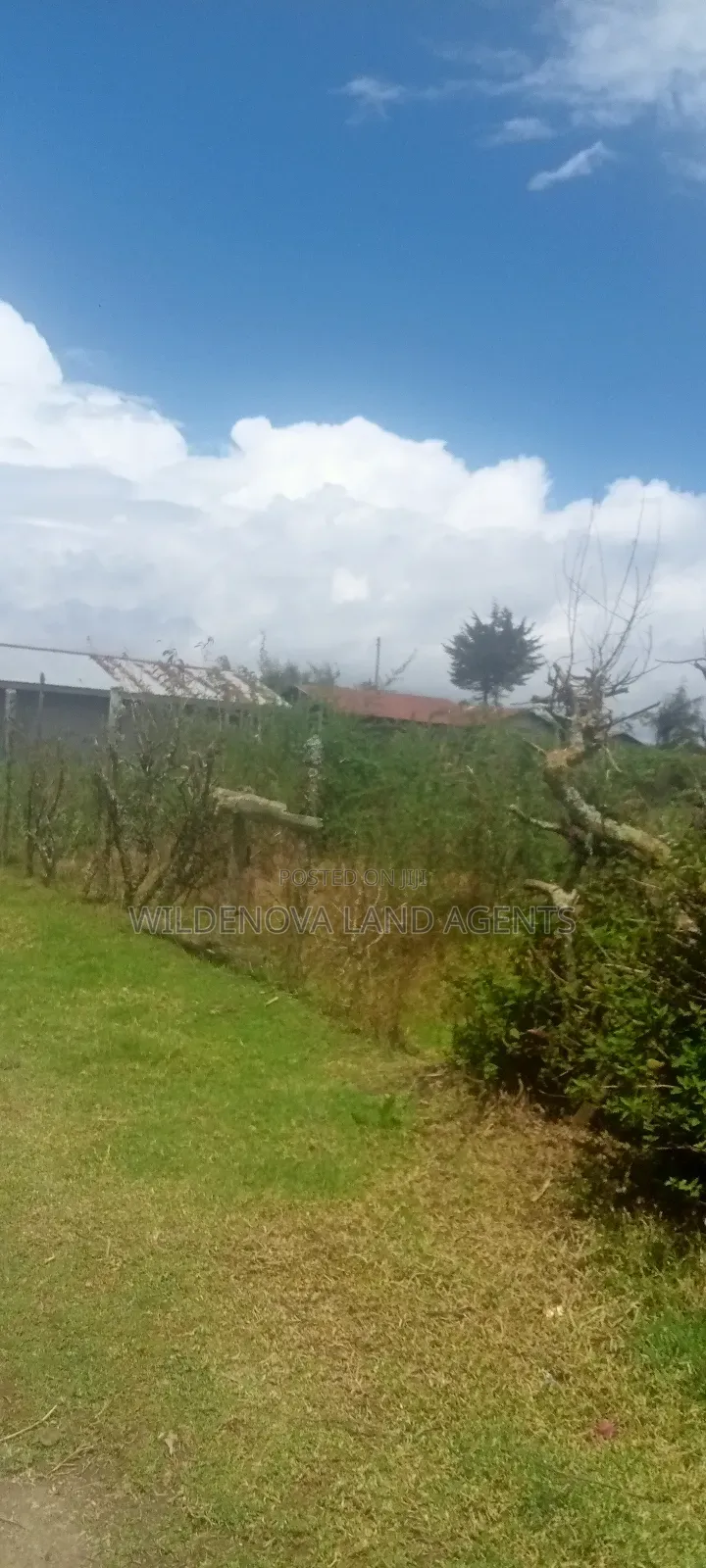 Plot for Sale