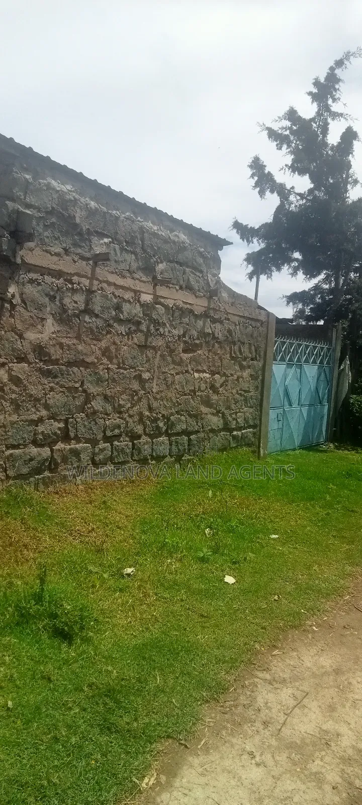 Plot for Sale