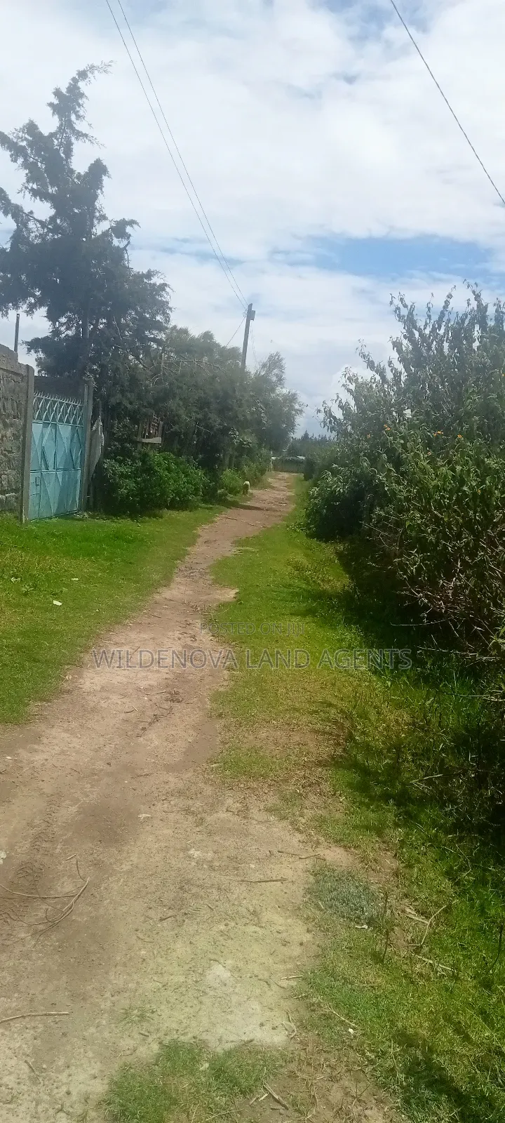 Plot for Sale
