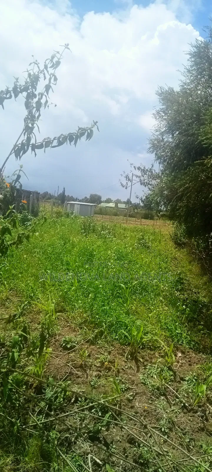 Plot for Sale