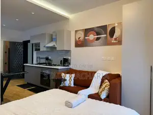 Reliable and Luxurious Studio Airbnb Available in South B