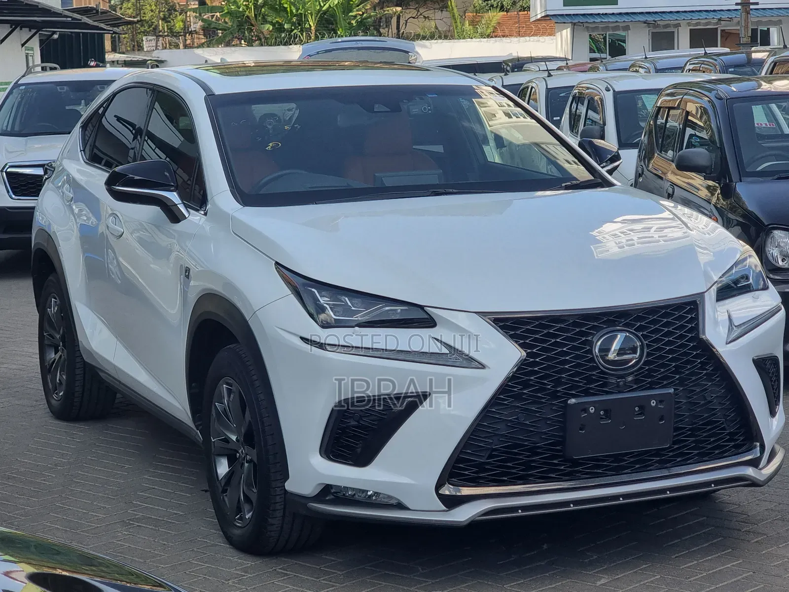 Lexus NX 2019 White