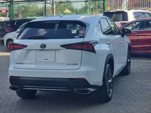 Lexus NX 2019 White