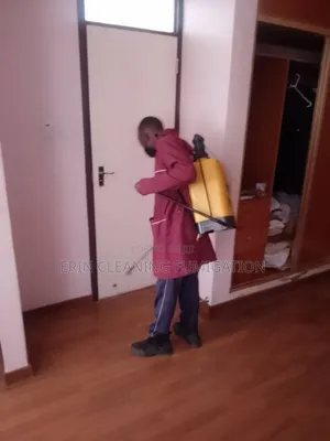 Fumigation Before You Enter New House