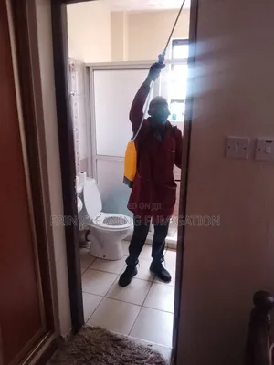 Professional Carpet Cleaning and Fumigation Services