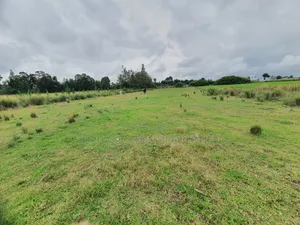 2 Acreas in Nanyuki [ Kwahuku ]