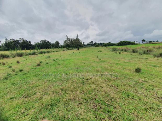 2 Acreas in Nanyuki [ Kwahuku ]