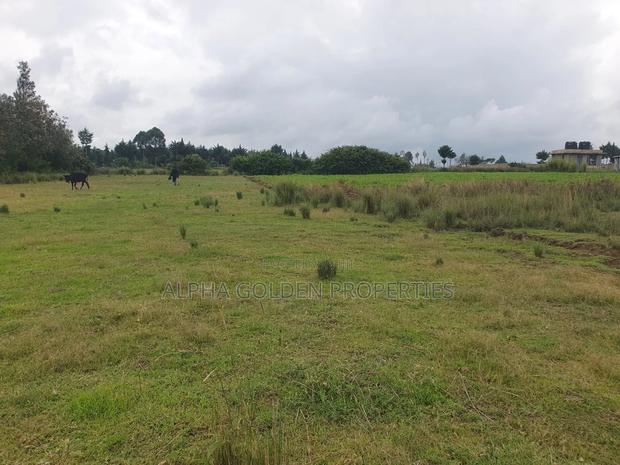 2 Acreas in Nanyuki [ Kwahuku ] - thumbnail 3
