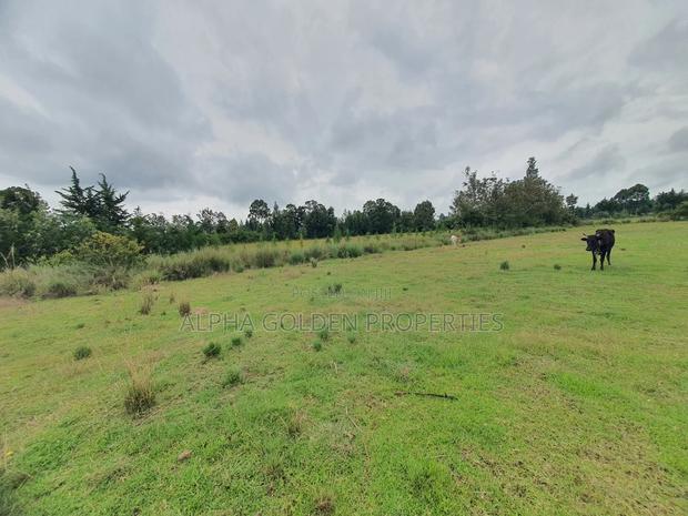 2 Acreas in Nanyuki [ Kwahuku ] - thumbnail 4