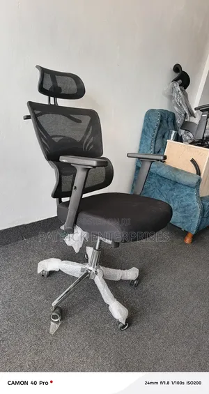 Important Modern Ergonomic Orthopedic Office Chair