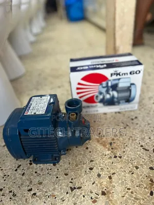 Water Pump Pedrolla Pump