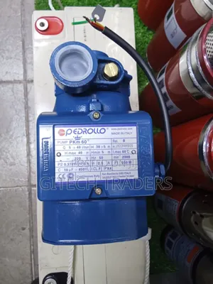 Pedrollo Pump Buster