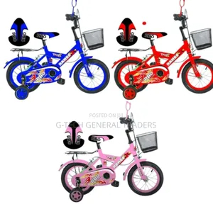 Kid's Size 16 Multicolored Assembled Bikes