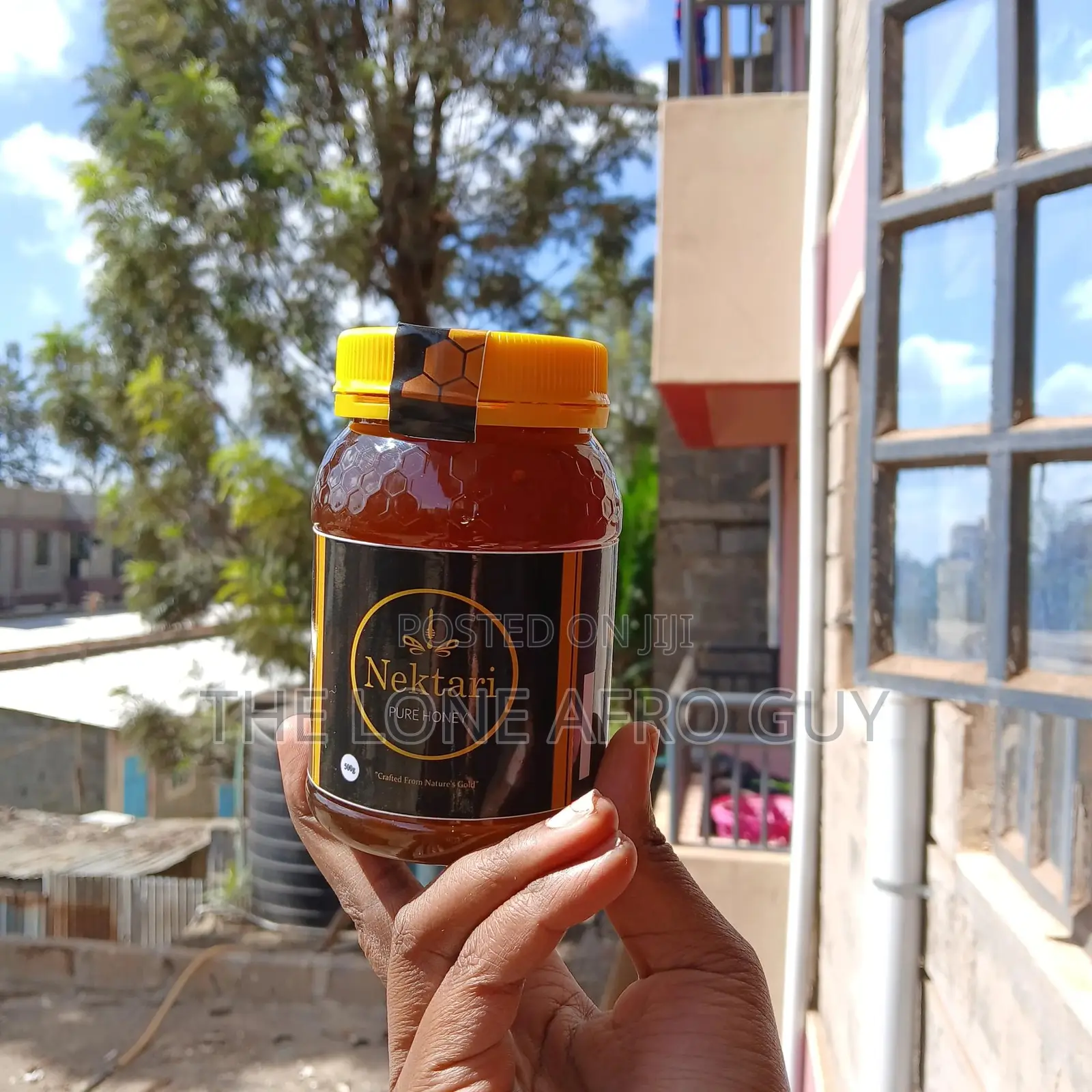 Pure Organic Honey (500g)