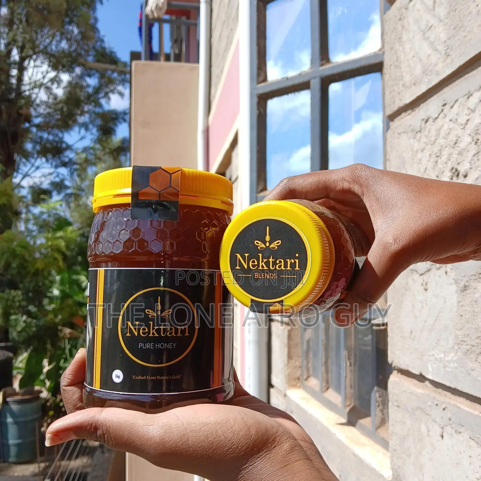 Pure Organic Honey (1kg)