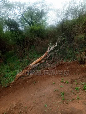 30 Acres Land for Sale at Machakos Wamunyu