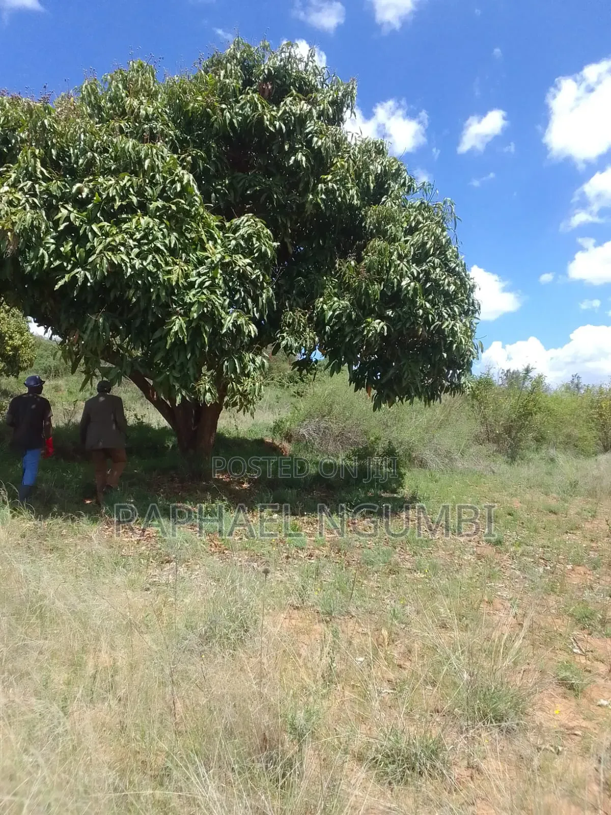 2 Acres at Mua Hills 1km From Sonko Road