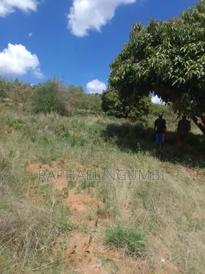 2 Acres at Mua Hills 1km From Sonko Road