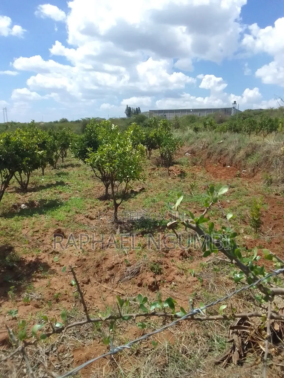 2 Acres at Mua Hills 1km From Sonko Road