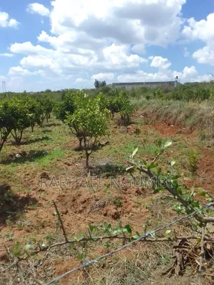 2 Acres at Mua Hills 1km From Sonko Road
