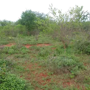 Machakos Mua 2 Acres Near Sonko Farm