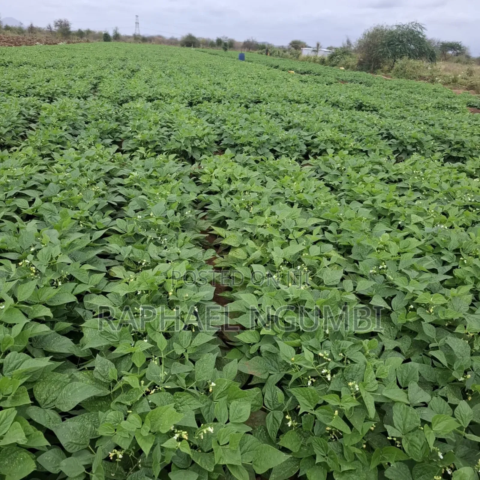 40 Acres at Kiboko - Emali Mombasa Road