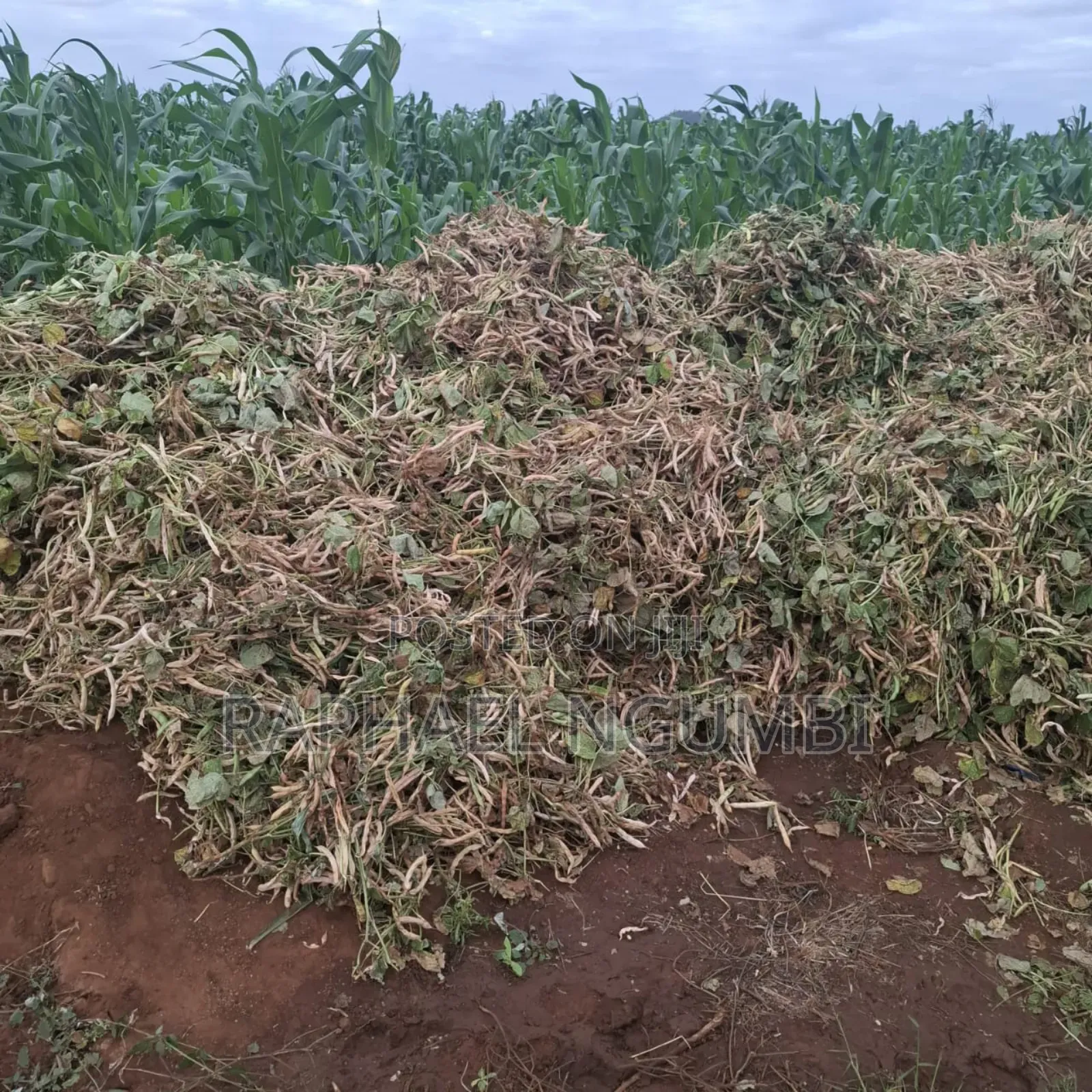 40 Acres at Kiboko - Emali Mombasa Road