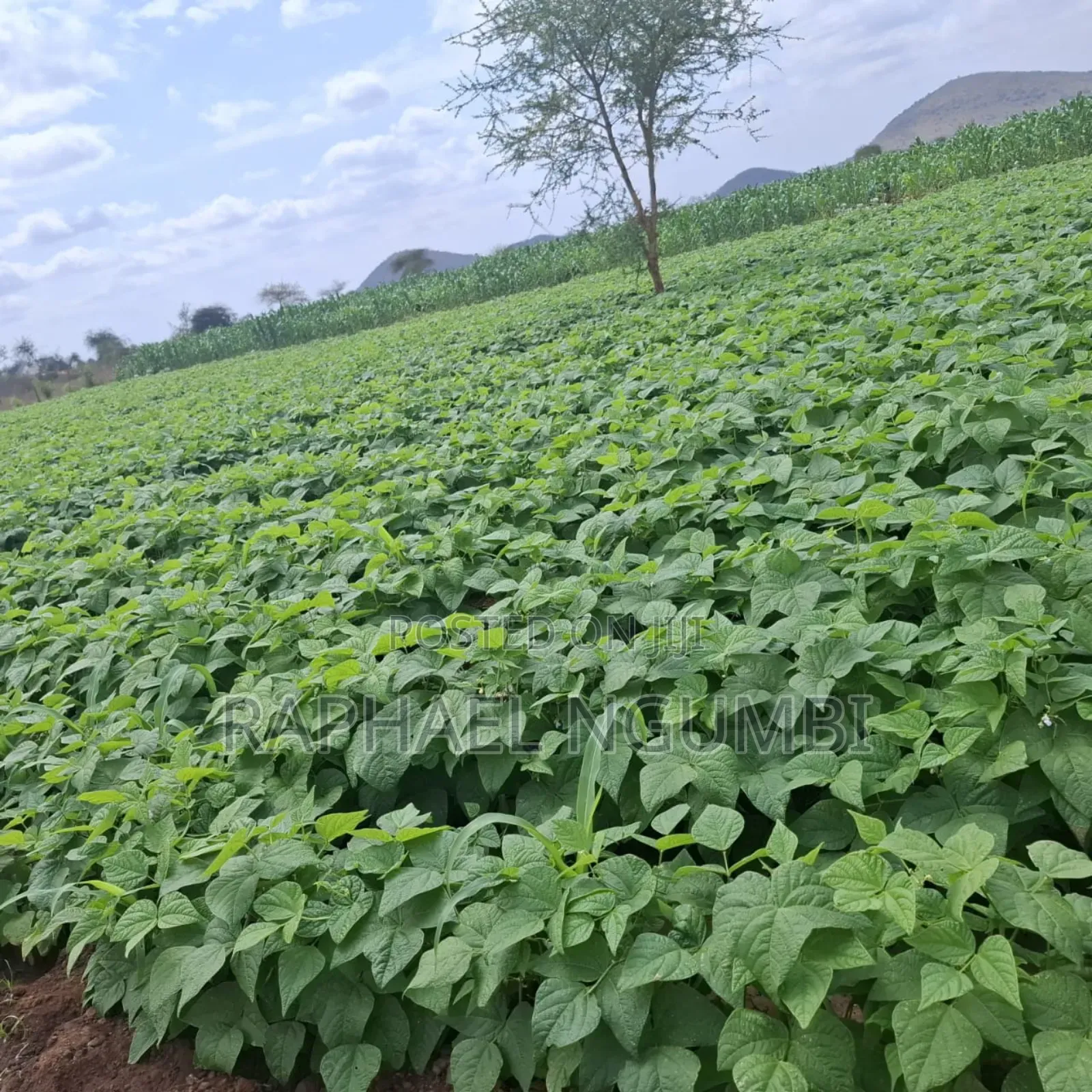 40 Acres at Kiboko - Emali Mombasa Road