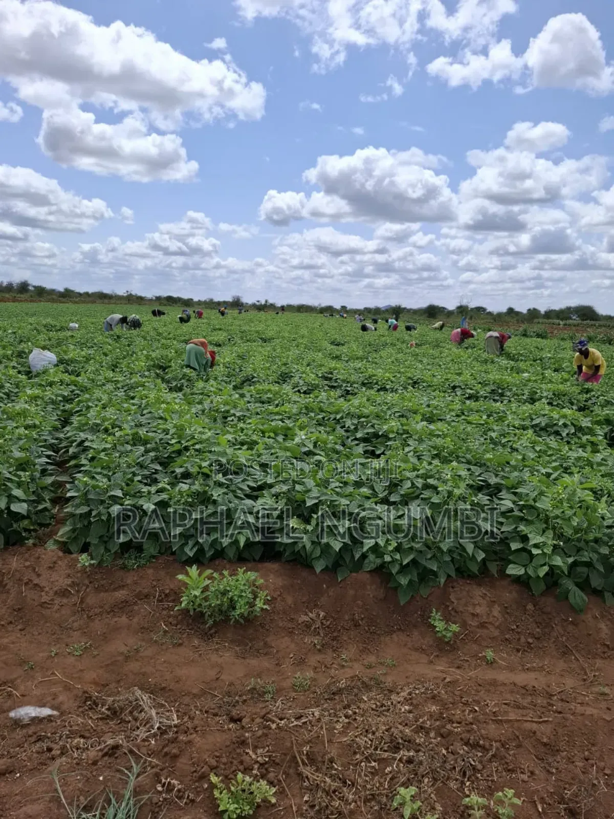40 Acres at Kiboko - Emali Mombasa Road