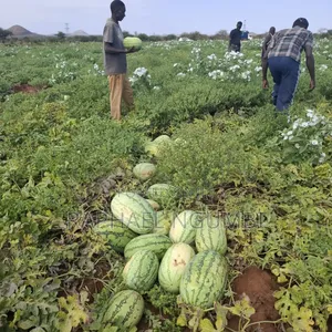 40 Acres at Kiboko - Emali Mombasa Road