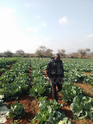 Land for Sell
