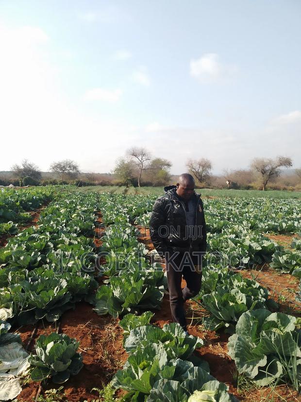 Land for Sell - main view