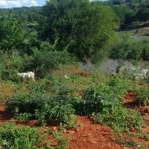 5 Acres at Thika River at Ekalakala