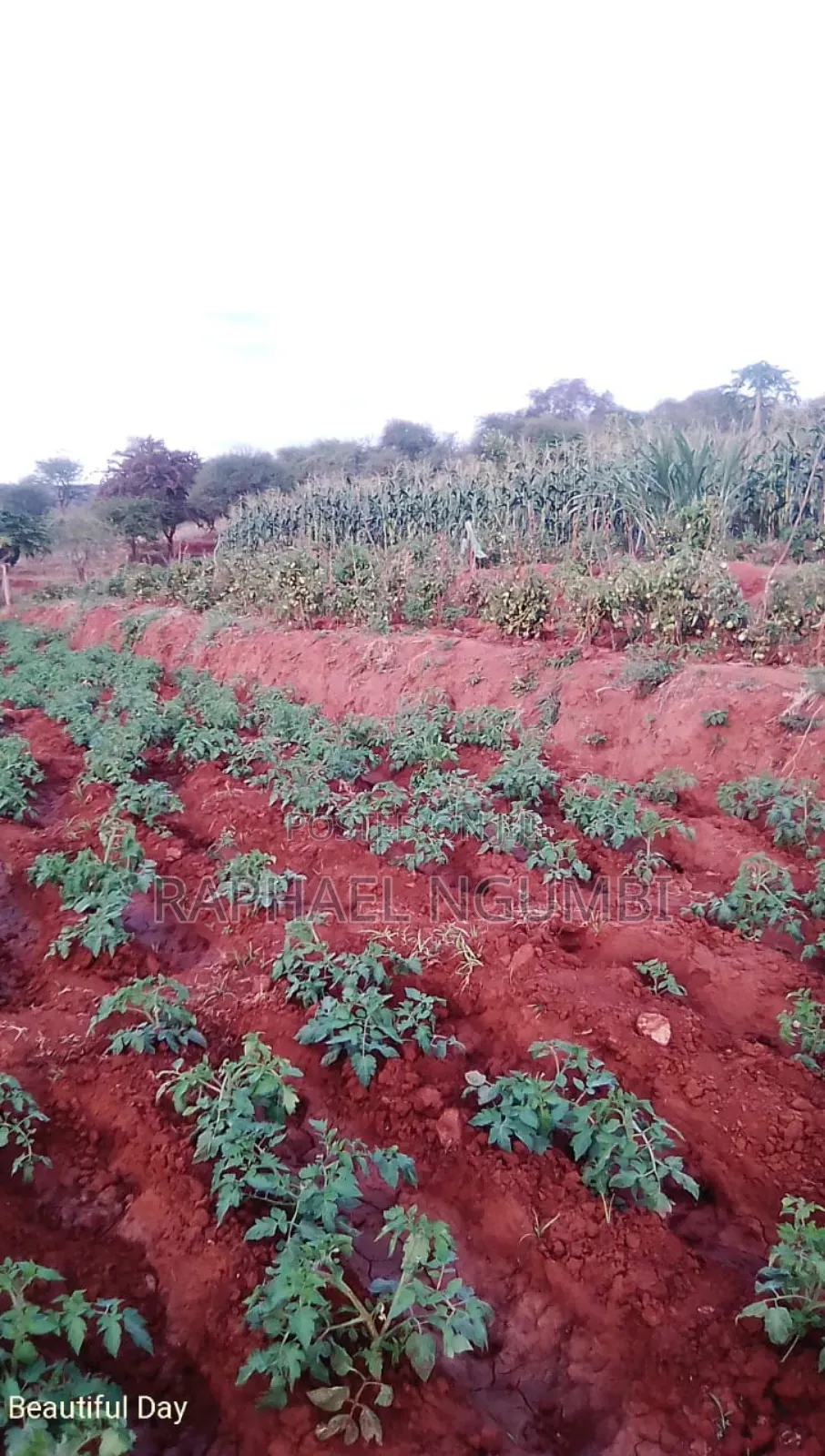 5 Acres at Thika River at Ekalakala