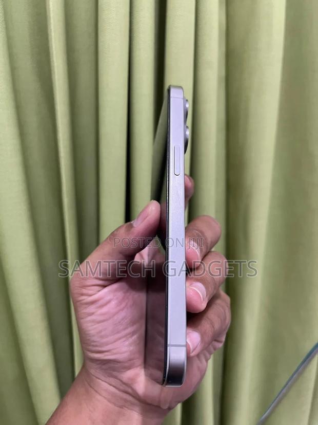 Apple iPhone 15 Pro Max 256 GB Silver - thumbnail 3