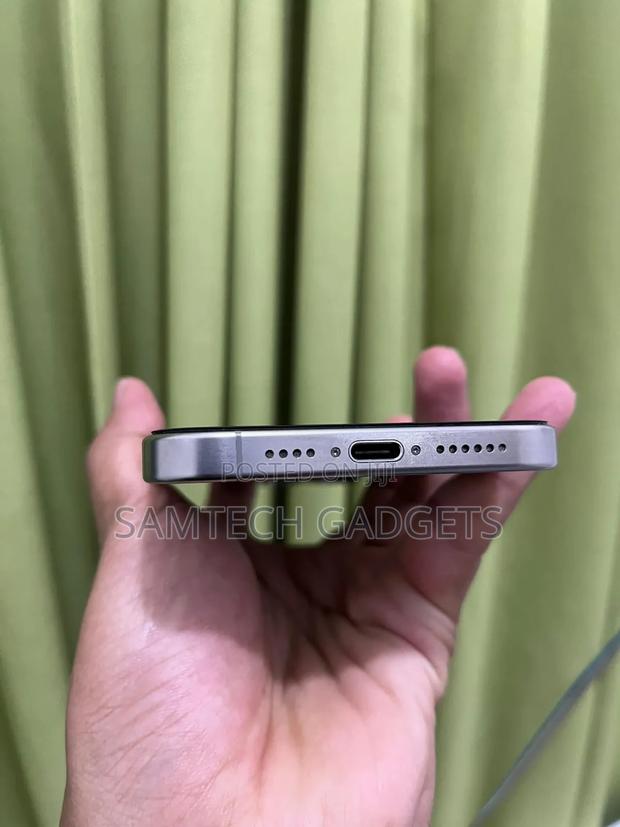 Apple iPhone 15 Pro Max 256 GB Silver - thumbnail 4