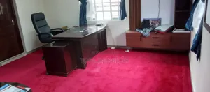 Office Floor Carpets for Office Decoration