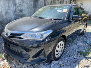 Toyota Corolla Fielder 2018 Black