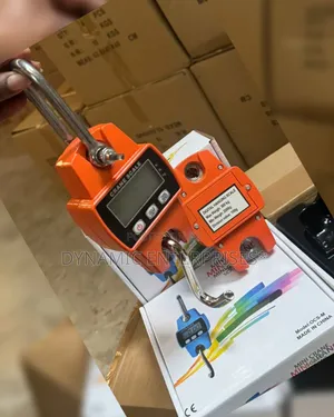 Mini Crane Max Weight 300kg