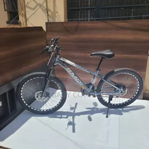 Bike, Size 24
