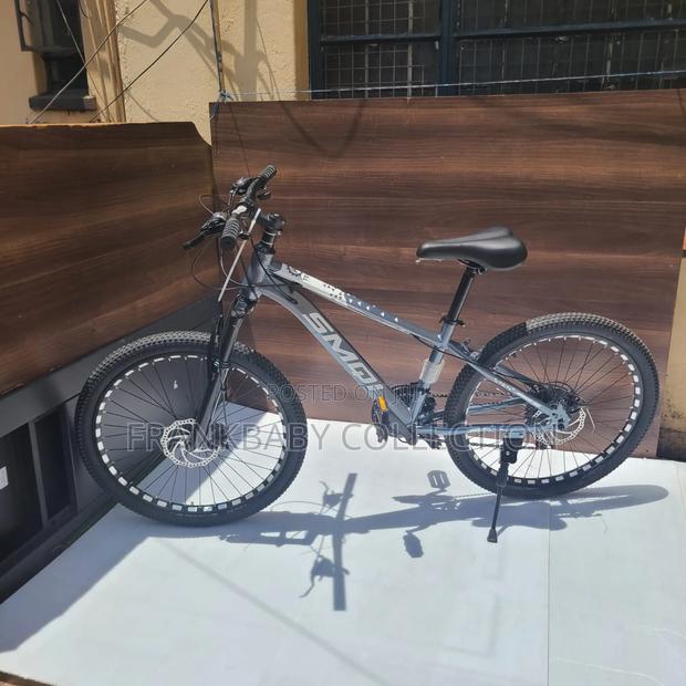 Bike, Size 24