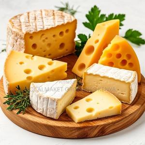 All Types of Cheese