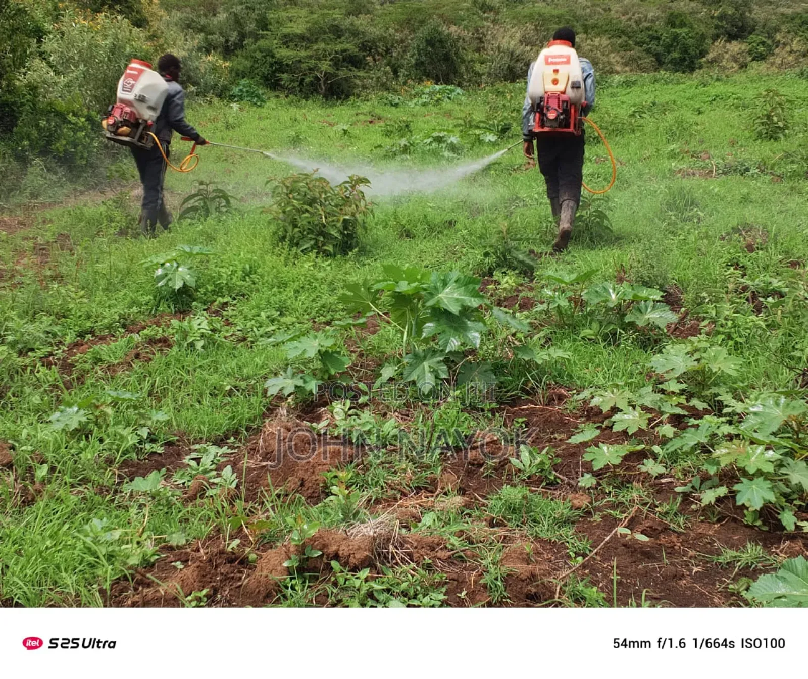 Agricultural Land Narok