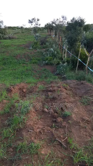 Agricultural Land Narok