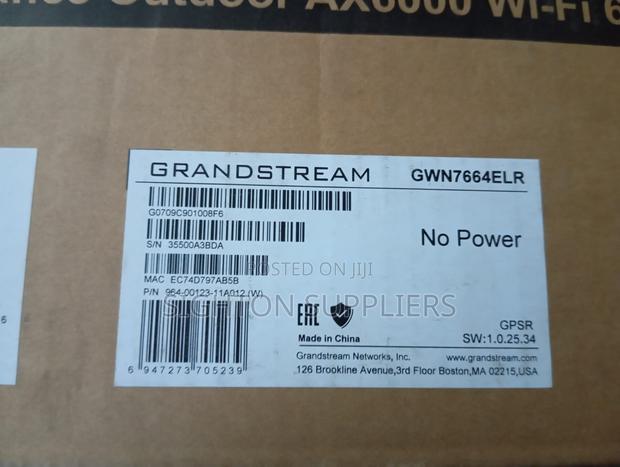 Grandstream Gwn7664lr Wi-Fi 6 Outdoor Long Range Ap
