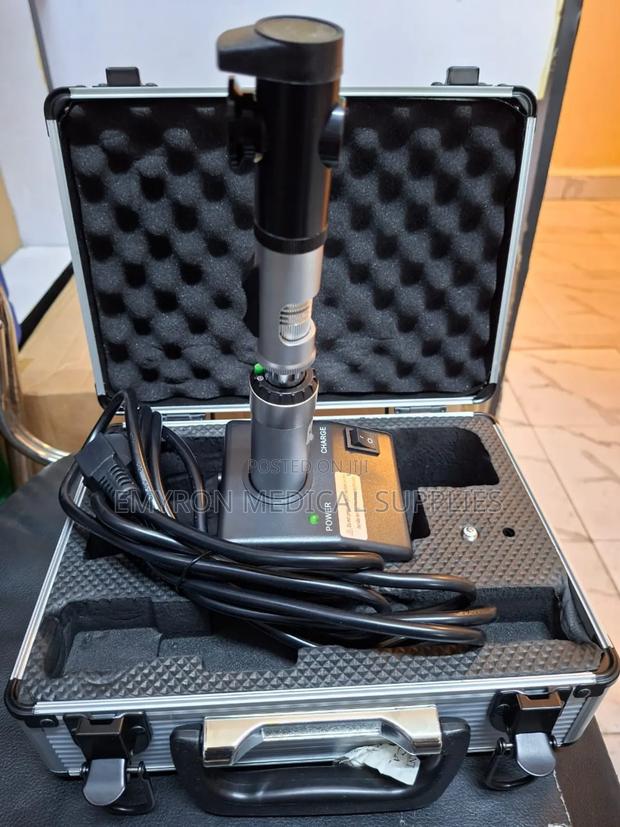 The Ratinoscope - main view