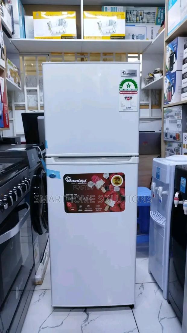 Ramtons Rf/173 Double Door Direct Cool Refrigerator -silver