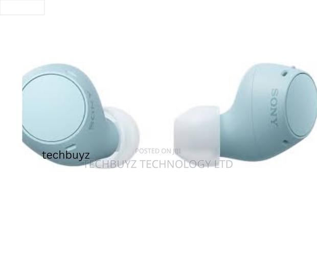 Sony Wf-c510 Truly Wireless In-ear Bluetooth Earbud - thumbnail 3