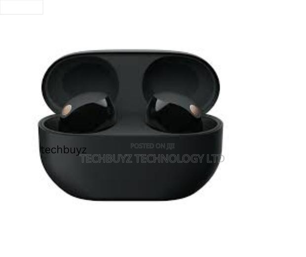 Sony Wf-1000xm5 Wireless Bluetooth Noise Canceling Earbuds - thumbnail 2